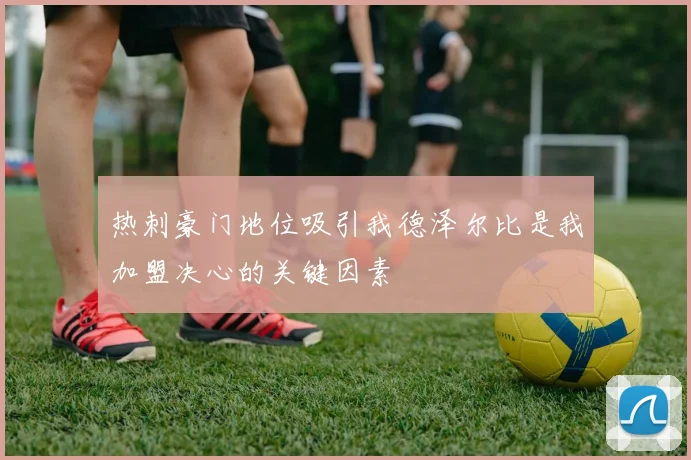 热刺豪门地位吸引我德泽尔比是我加盟决心的关键因素